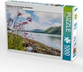 Calvendo Wildblumen aus dem Norden Schottlands