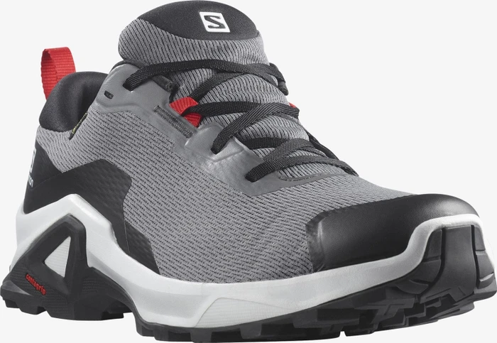 Salomon X Raise 2 GTX quiet shade/black/goji berry (Herren)