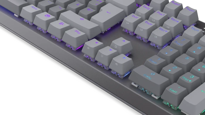 Endorfy Thock V2, PBT, grau, LEDs RGB, hot-swap, Endorfy RED, USB, DE