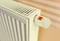 Rademacher HomePilot Heizkörper-Thermostat Smart Vorschaubild