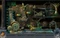 Secrets of the Dark: Geheimnis des Familienanwesens (PC) Vorschaubild