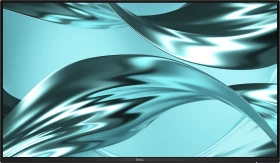 Dell Pro P 24 Monitor P2426H WOST (ohne Standfuß), 23.8"