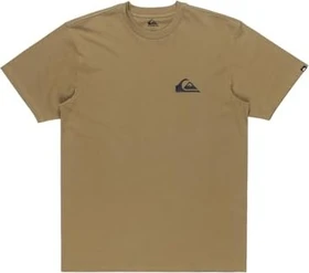 Quiksilver EV Mini Logo T-Shirt kurzarm aloe (Herren)