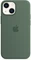 Apple Silikon Case mit MagSafe für iPhone 13 Mini Eukalyptus Vorschaubild