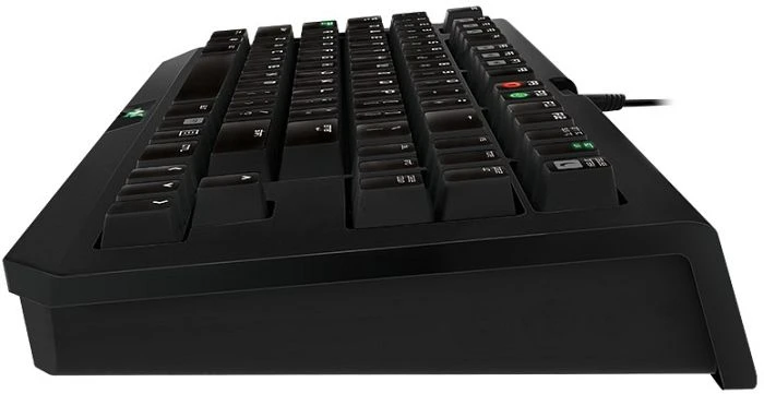 Razer BlackWidow Tournament Edition 2014, Razer GREEN, USB, DE