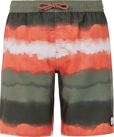 Protest Abel Badeshorts artichoke green (Junior)