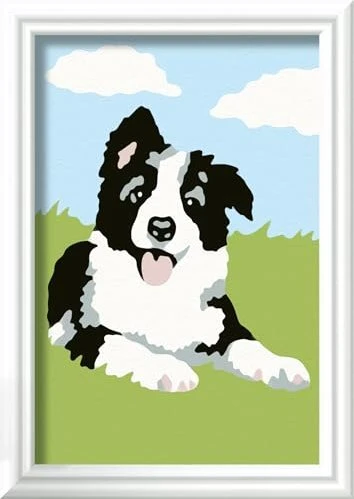 Ravensburger Malen nach Zahlen Border Collie Welpe