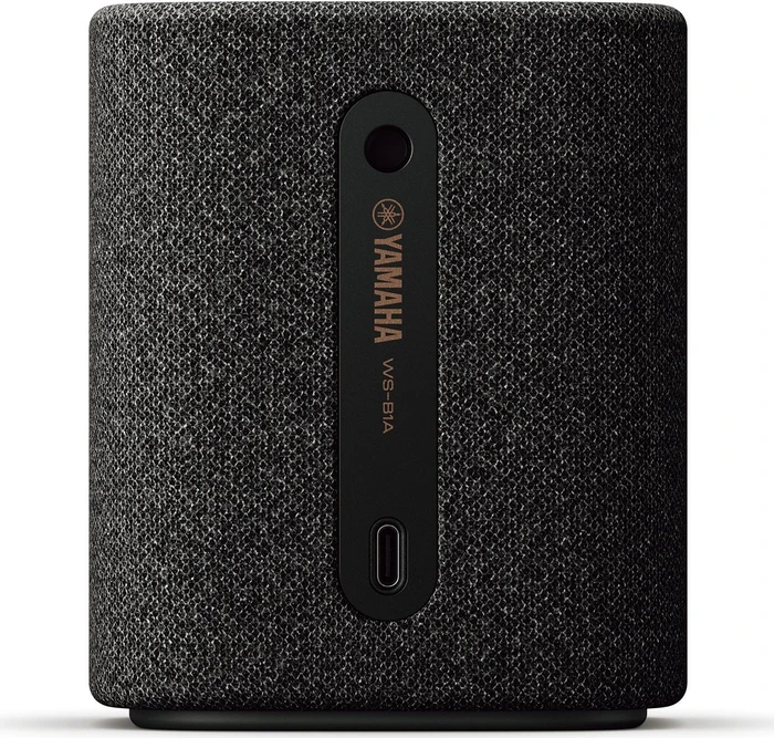 Yamaha WS-B1A Carbon Gray