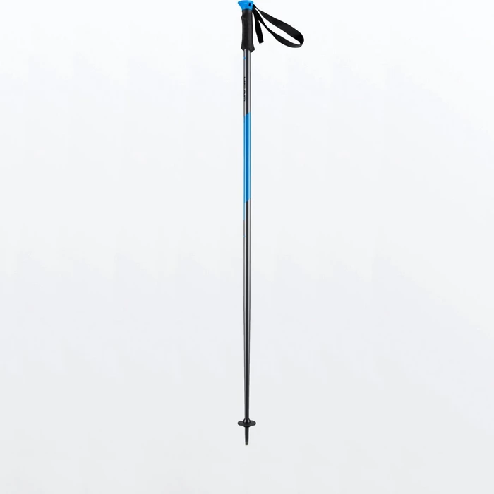 Head Multi S Alpin Skistock (Modell 2021/2022)