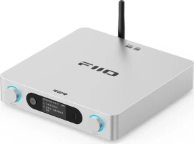 FiiO BR15 R2R silber