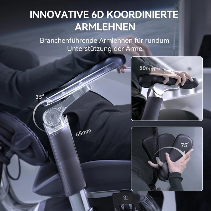 Sihoo Doro C300 Ergonomischer Bürostuhl, schwarz