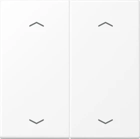Jung Wippe 2fach, F10, mit Pfeilsymbolen, Duroplast lackiert, Serie LS, schneeweiß matt