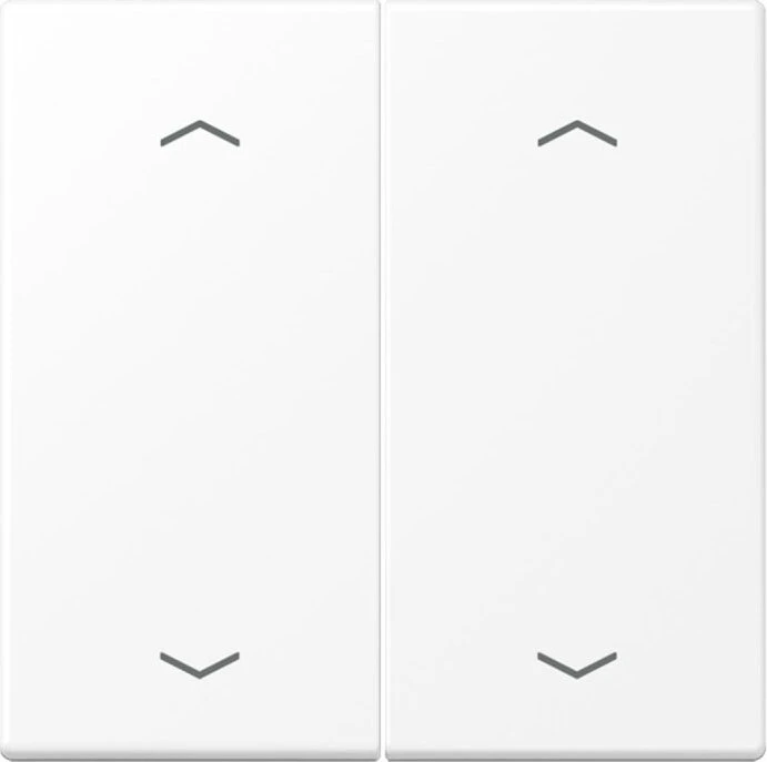 Jung Wippe 2fach, F10, mit Pfeilsymbolen, Duroplast lackiert, Serie LS, schneeweiß matt