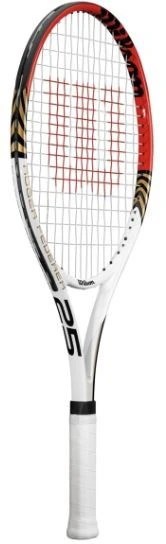 Wilson Roger Federer 25 Tennisschläger