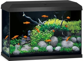 Juwel Primo 70 LED Aquarium-Set, schwarz, 70l