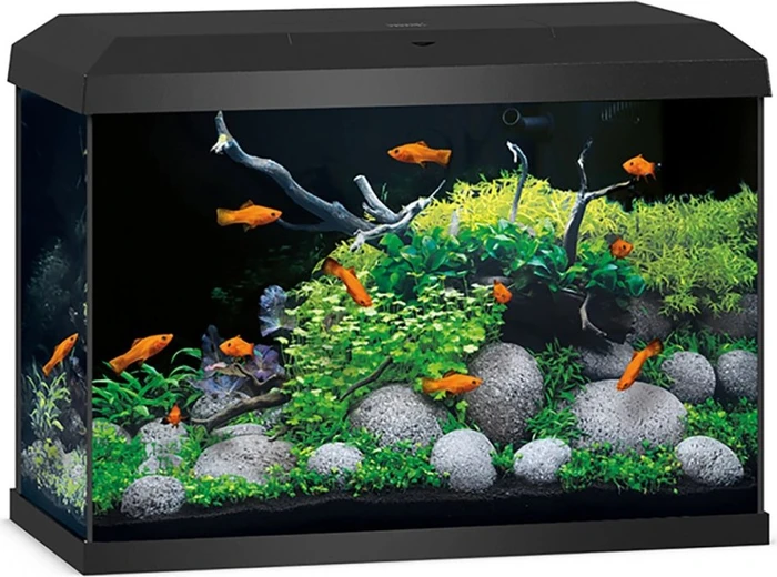 Juwel Primo LED Aquarium