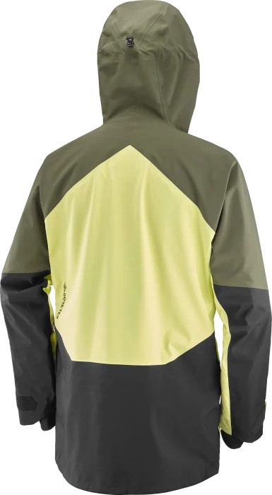 Salomon Moon Patrol Gore-Tex Funktionsjacke olive night/charlock (Herren)