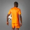 adidas Real Madrid Authentic 2024/2025 Auswärtstrikot crew orange (Herren) Vorschaubild