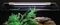 Aquatlantis Easy LED Universal 2.0 Deep Blue, T5/T8, 450-700mm, 20W Vorschaubild