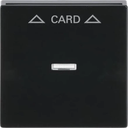 Busch-Jaeger Zentralscheibe für Cardschalter, anthrazit