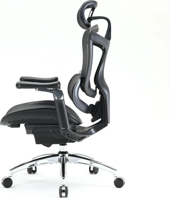 Sihoo Doro C300 Pro Ergonomischer Bürostuhl, schwarz
