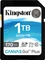 Kingston Canvas Go! Plus SDG3, SD UHS-I U3, V30 Vorschaubild