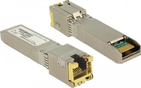 DeLOCK 10G LAN-Transceiver, RJ-45, SFP+ (86460)
