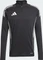 adidas Tiro 25 Competition Training Funktionsshirt langarm black/team grey four (Herren) Vorschaubild
