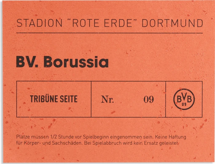 Puma BVB Borussia Dortmund Sondertrikot 2025/2026 Trikot kurzarm alabaster/puma black (Herren)