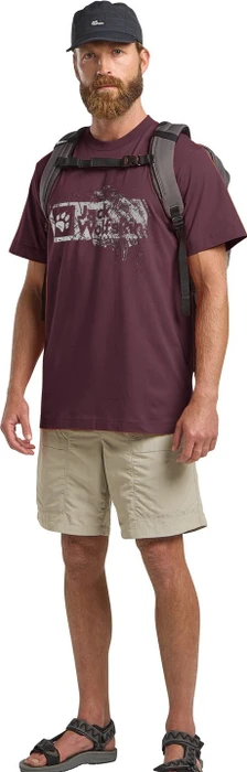 Jack Wolfskin Brand T-Shirt kurzarm wood amaranth (Herren)