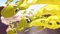 Splatoon 3 inkl. Erweiterungspass (Switch) Vorschaubild
