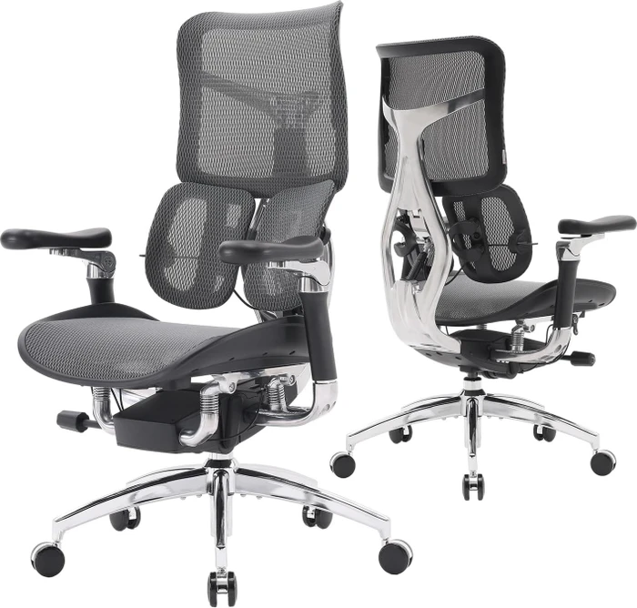 Sihoo Doro C300 Ergonomischer Bürostuhl, schwarz
