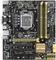 ASUS H87M-Plus [C1] (Intel 1150) Vorschaubild