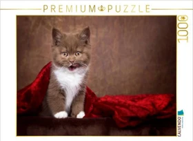 Calvendo Ein Motiv aus dem Kalender Kittens - Britisch Kurzhaar Katzenkinder
