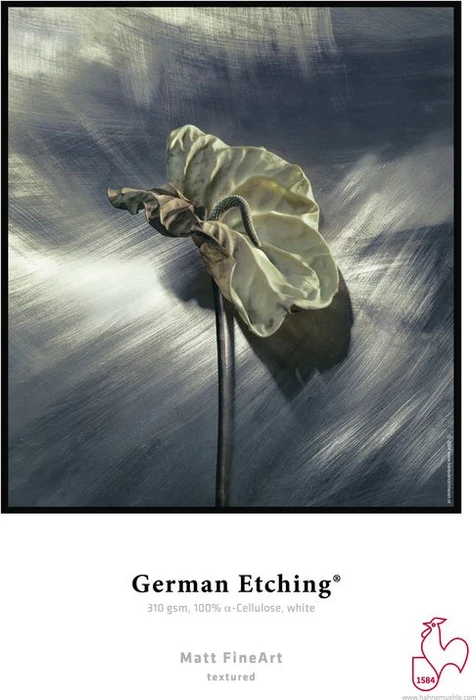 Hahnemühle Digital Matt FineArt German Etching Fotopapier matt, 17", 310g/m², 12m