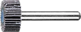 Pferd F 2010/6 SiC 120 Fächerschleifer K120, 20x10mm, 10 Stück