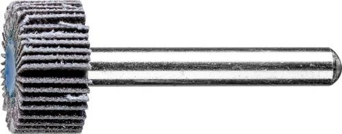 Pferd F 2010/6 SiC 120 Fächerschleifer K120, 20x10mm, 10 Stück