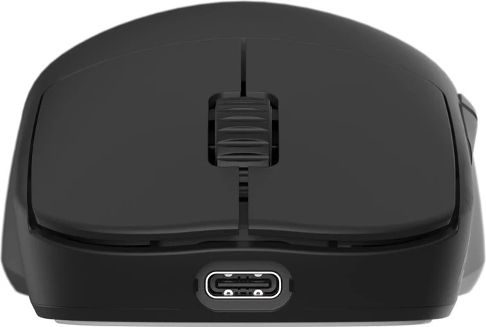 Endgame Gear OP1we Wireless Gaming Mouse schwarz, USB