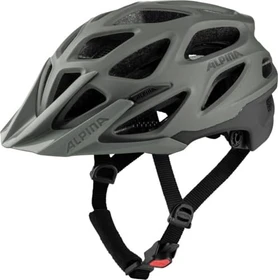 Alpina Mythos 3.0 L.E. Helm coffee/grey matt