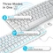 RK Royal Kludge RK96 96% Wireless, LEDs blau, hot-swap, RK RED, USB/Bluetooth, US Vorschaubild