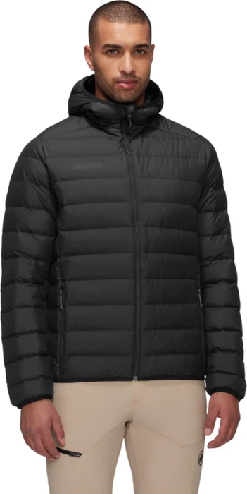 Mammut Waymarker IN Hooded Jacke (Herren)
