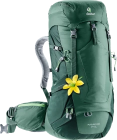 Deuter Futura Pro 34 SL seagreen/forest (Damen)