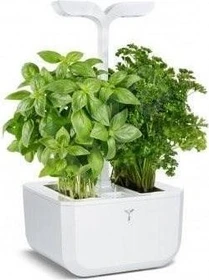 Veritable Exky Smart Indoor weiß