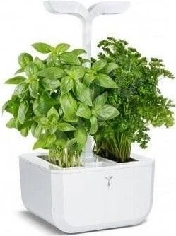 Veritable Exky Smart Indoor weiß