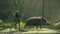 NieR: Automata (Download) (PC) Vorschaubild