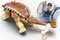 LEGO Jurassic World - Indominus Rex vs. Ankylosaurus Vorschaubild