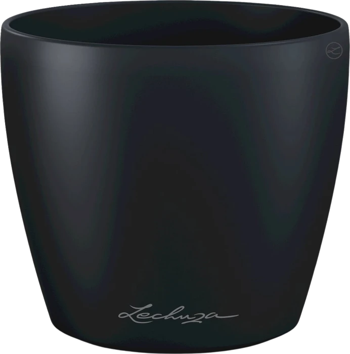 Lechuza Classico Color Deco 14