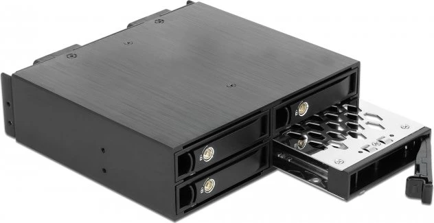 DeLOCK 5.25" Mobile Rack for 4 x 2.5" U.2 NVMe SSD with lockable Trays
