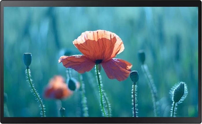 Samsung QB24R-TB, 23.8"