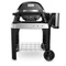 Weber Pulse 2000 Stand Vorschaubild